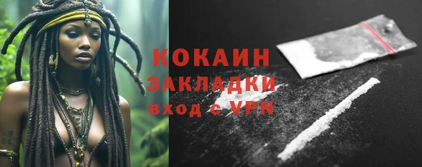 mdpv Богородск