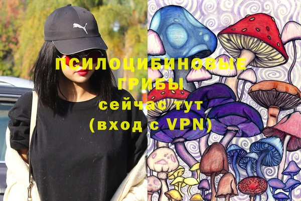 дживик Богородицк