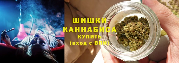 дживик Богородицк