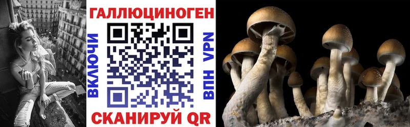 Галлюциногенные грибы Magic Shrooms  купить наркотики сайты  Кудымкар 